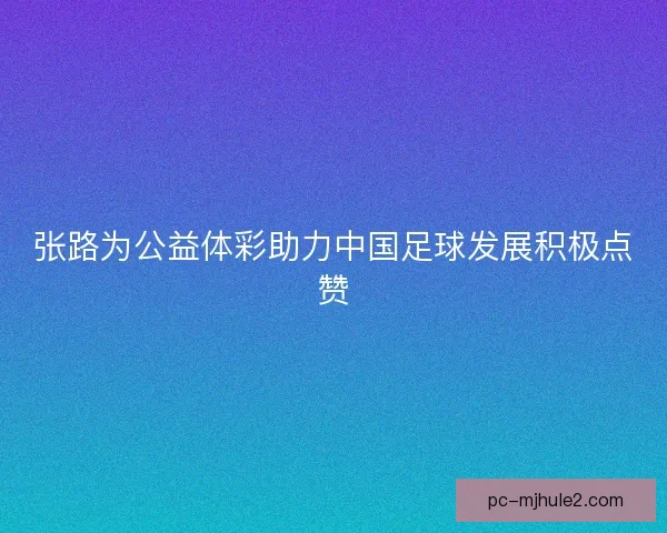 张路为公益体彩助力中国足球发展积极点赞