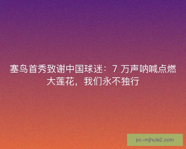 塞鸟首秀致谢中国球迷：7 万声呐喊点燃大莲花，我们永不独行